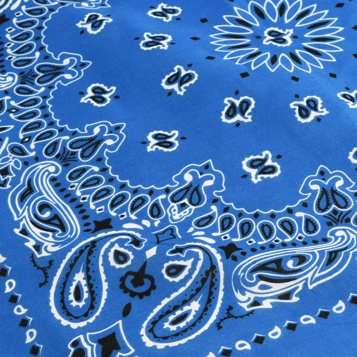 Paisley Bandana