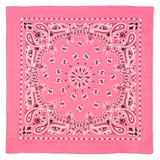 Paisley Bandana
