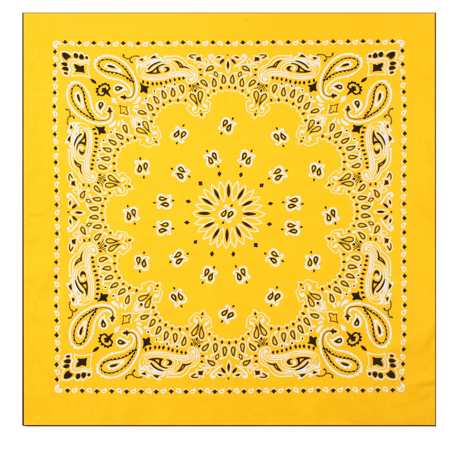 Paisley Bandana