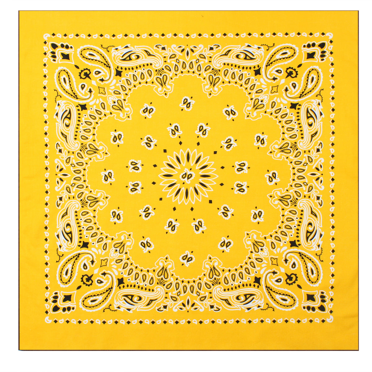 Paisley Bandana