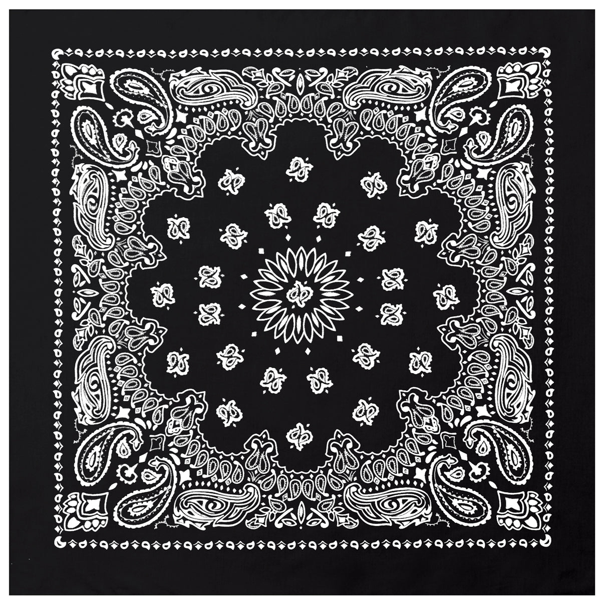 Paisley Bandana