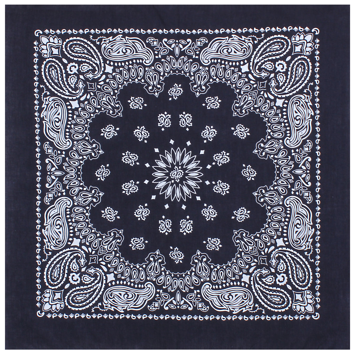 Paisley Bandana