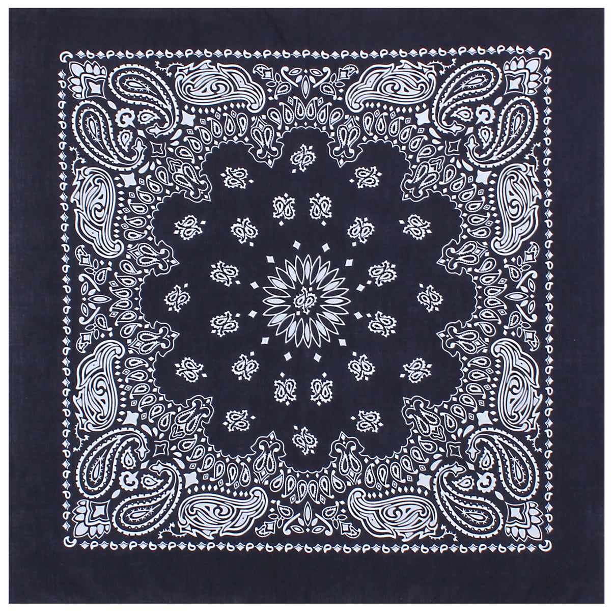 Paisley Bandana