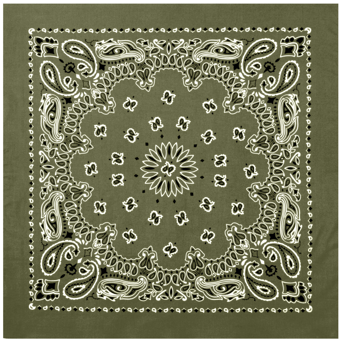 Paisley Bandana