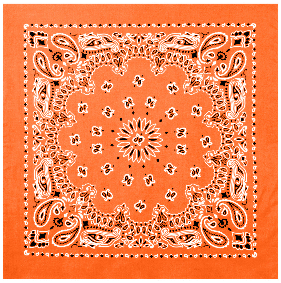 Paisley Bandana