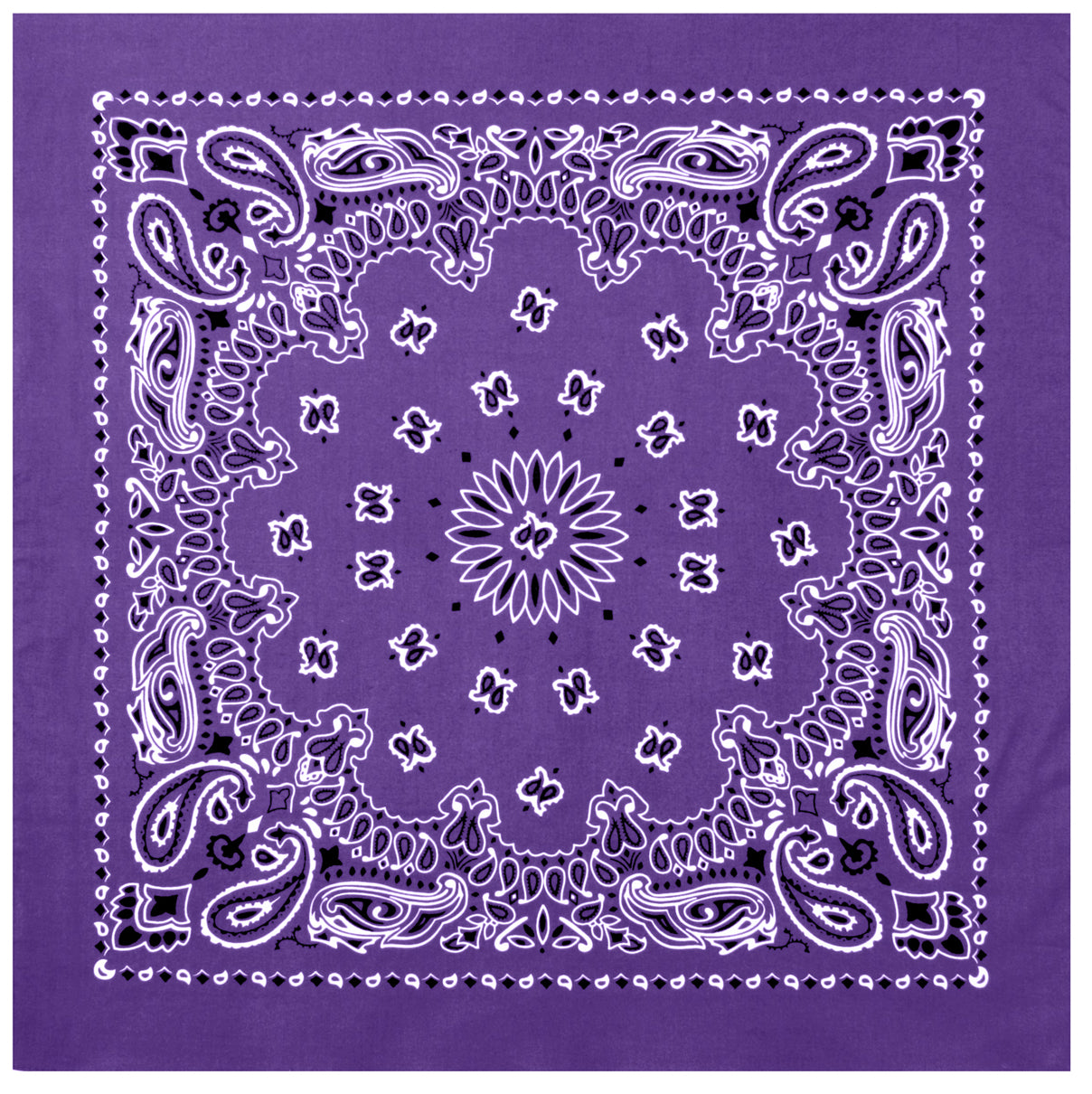 Paisley Bandana
