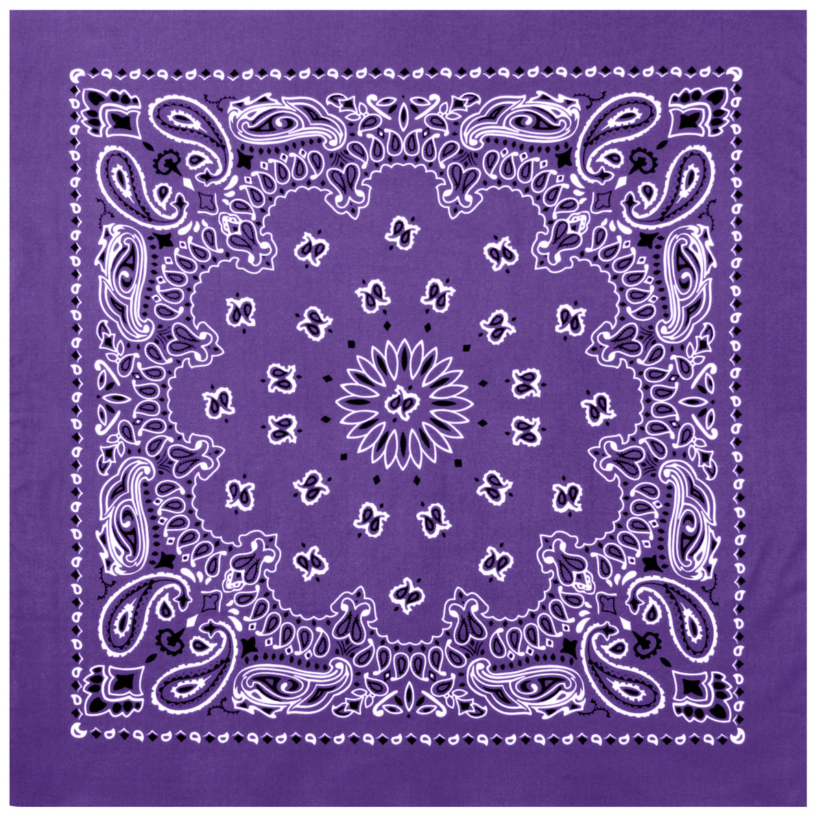 Paisley Bandana