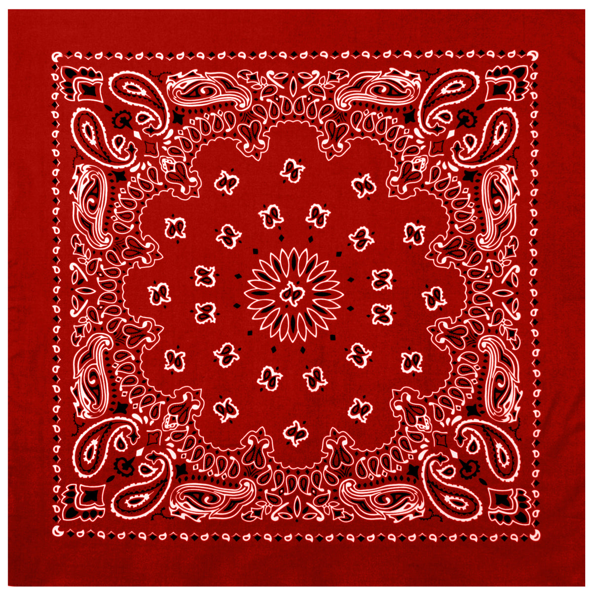 Paisley Bandana