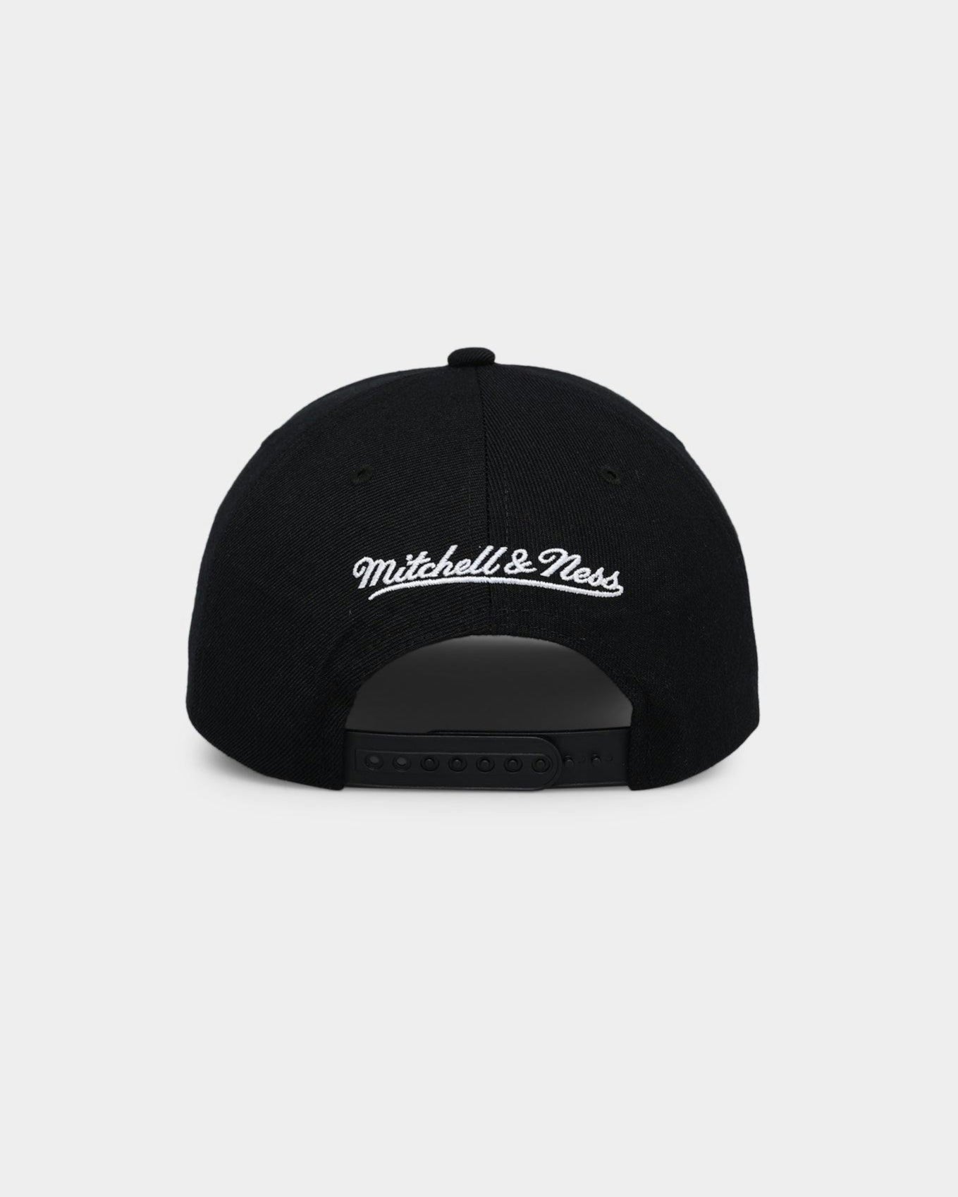 Charlotte Hornets &