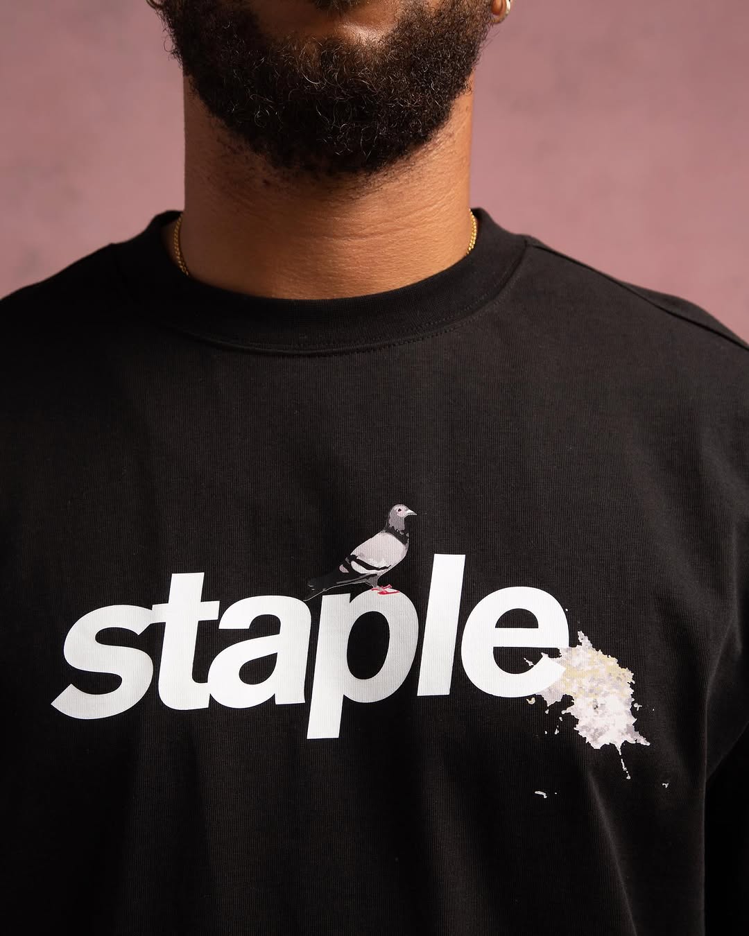 Pigeon Logo T-Shirt