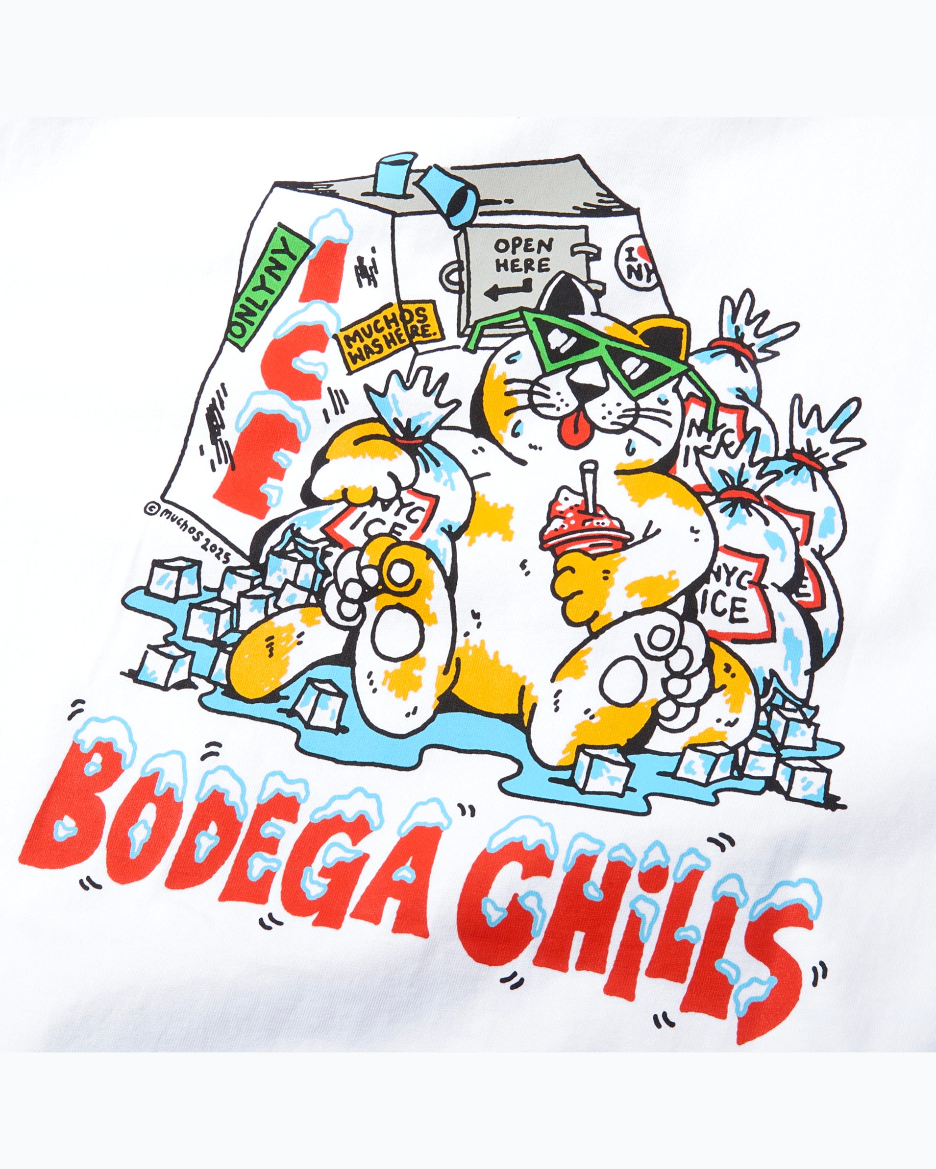 Bodega Chills Pocket T-Shirt
