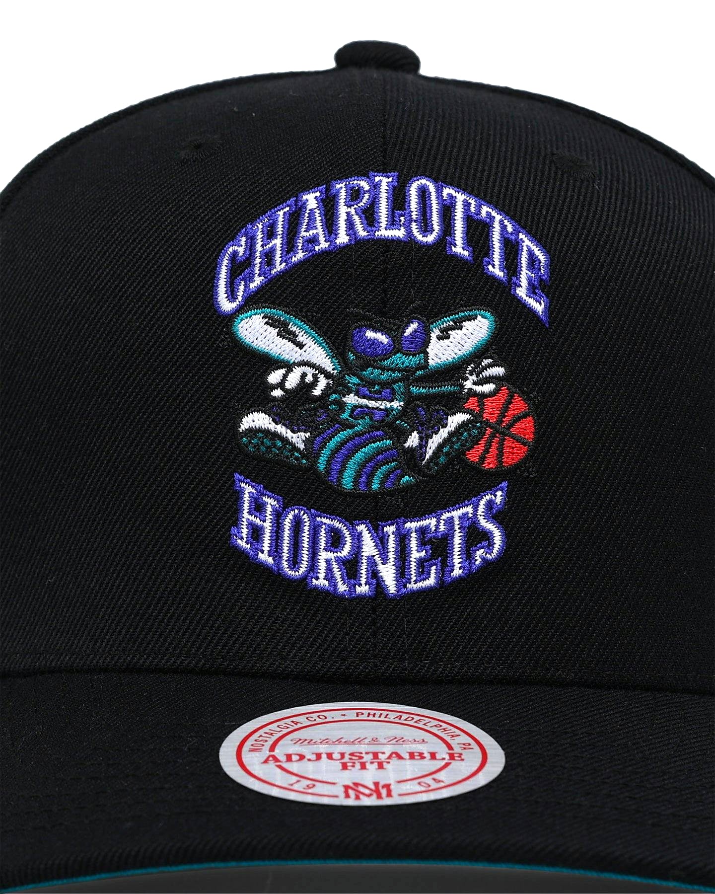 Charlotte Hornets &
