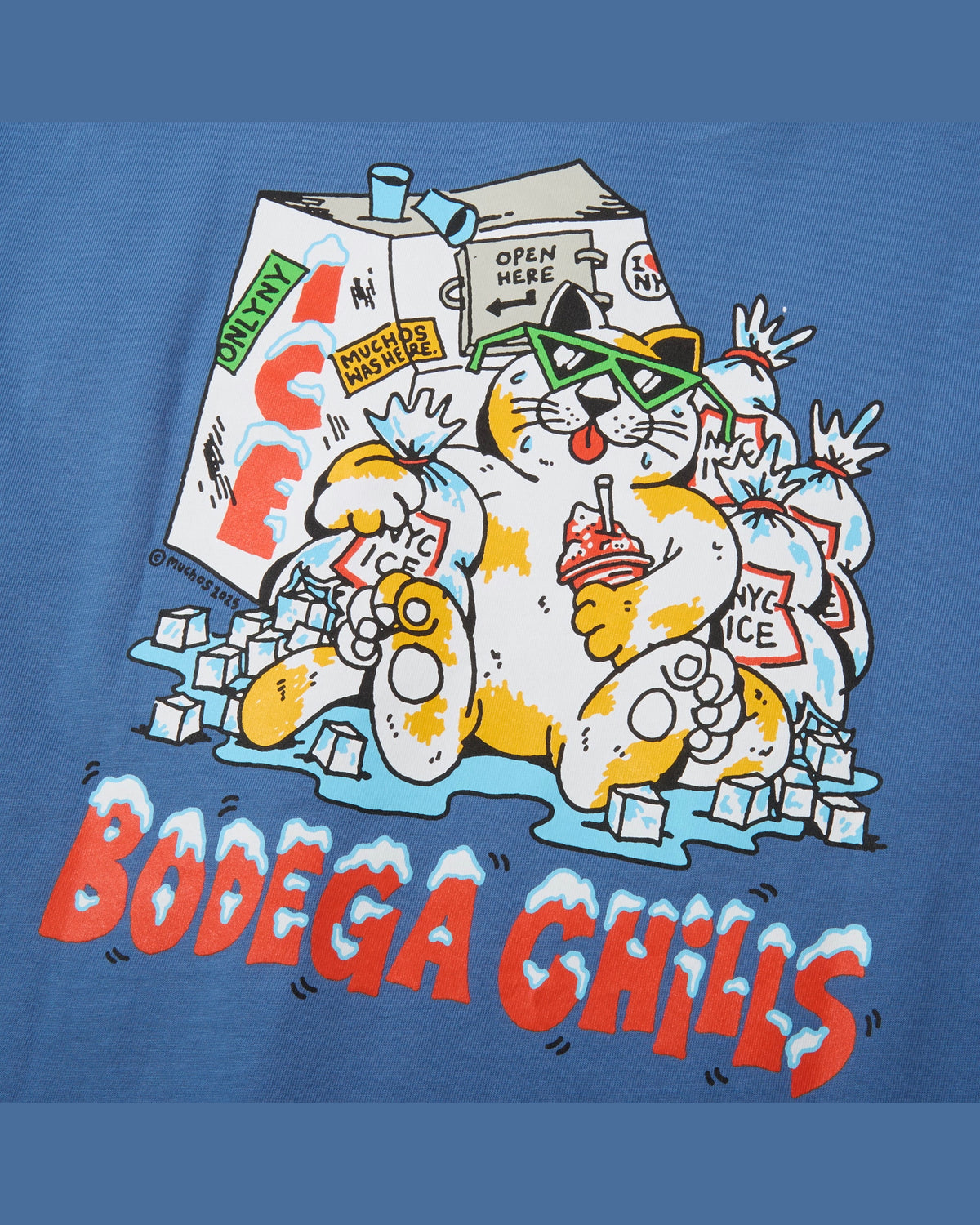 Bodega Chills Pocket T-Shirt