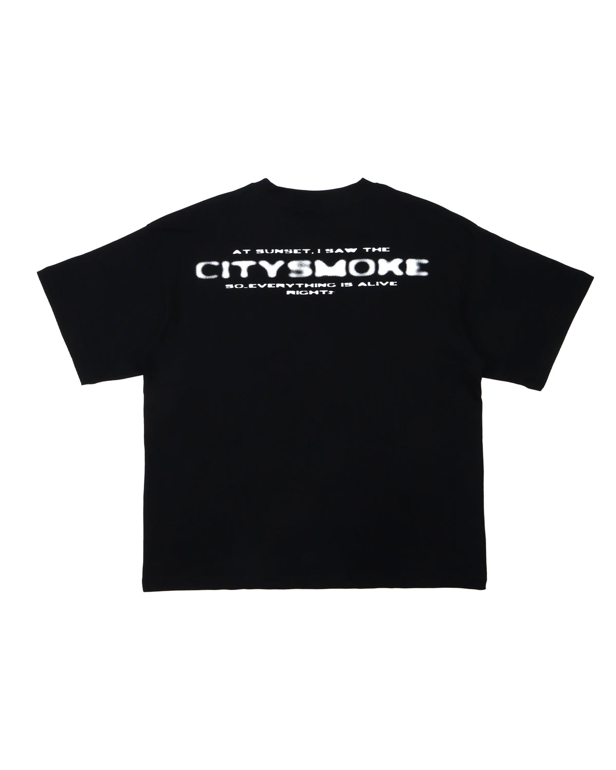 25SS GRAPHIC TEE