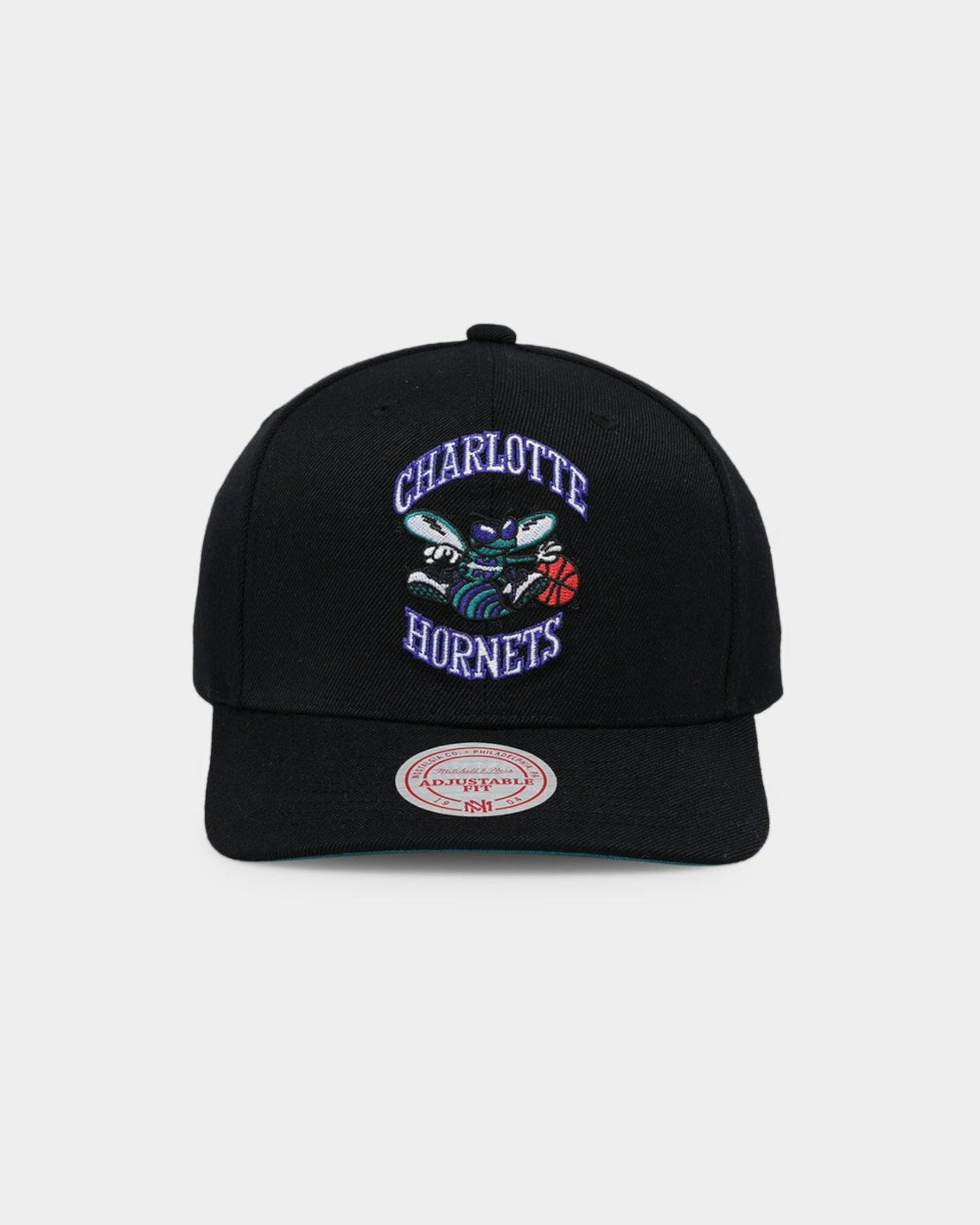 Charlotte Hornets &