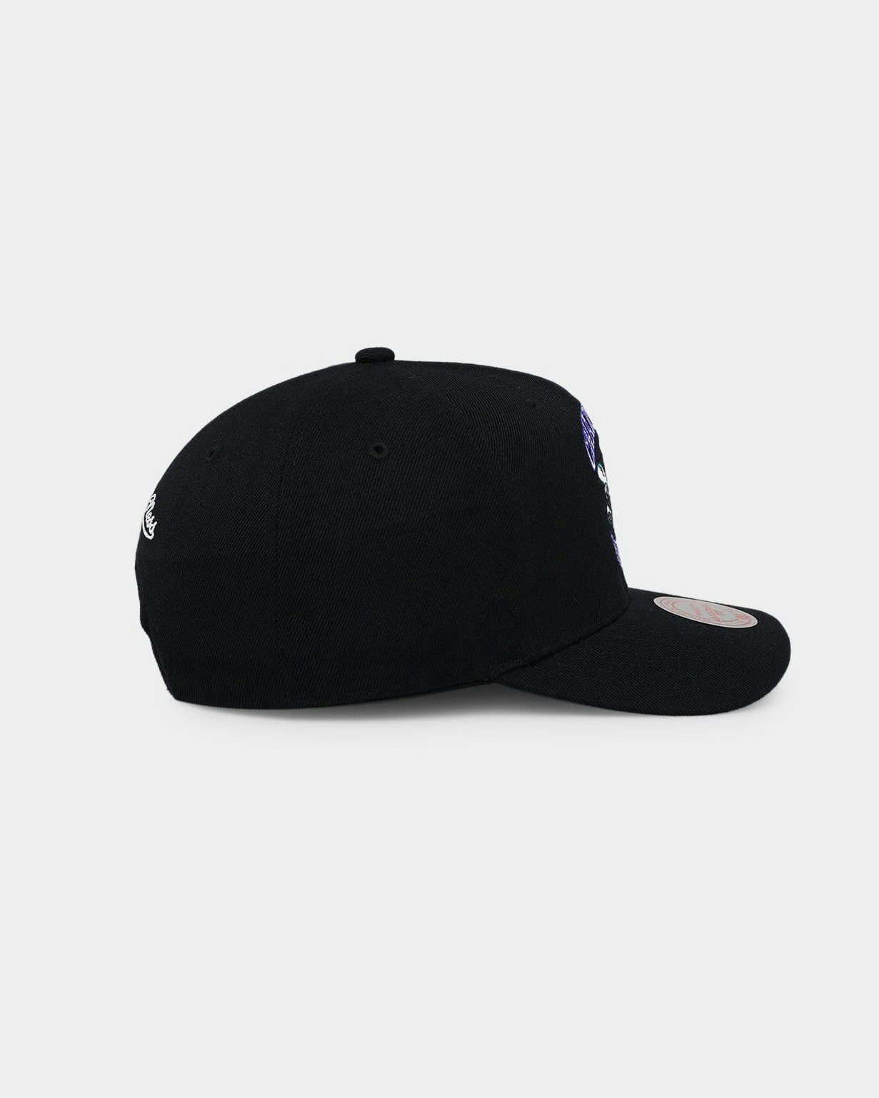Charlotte Hornets &