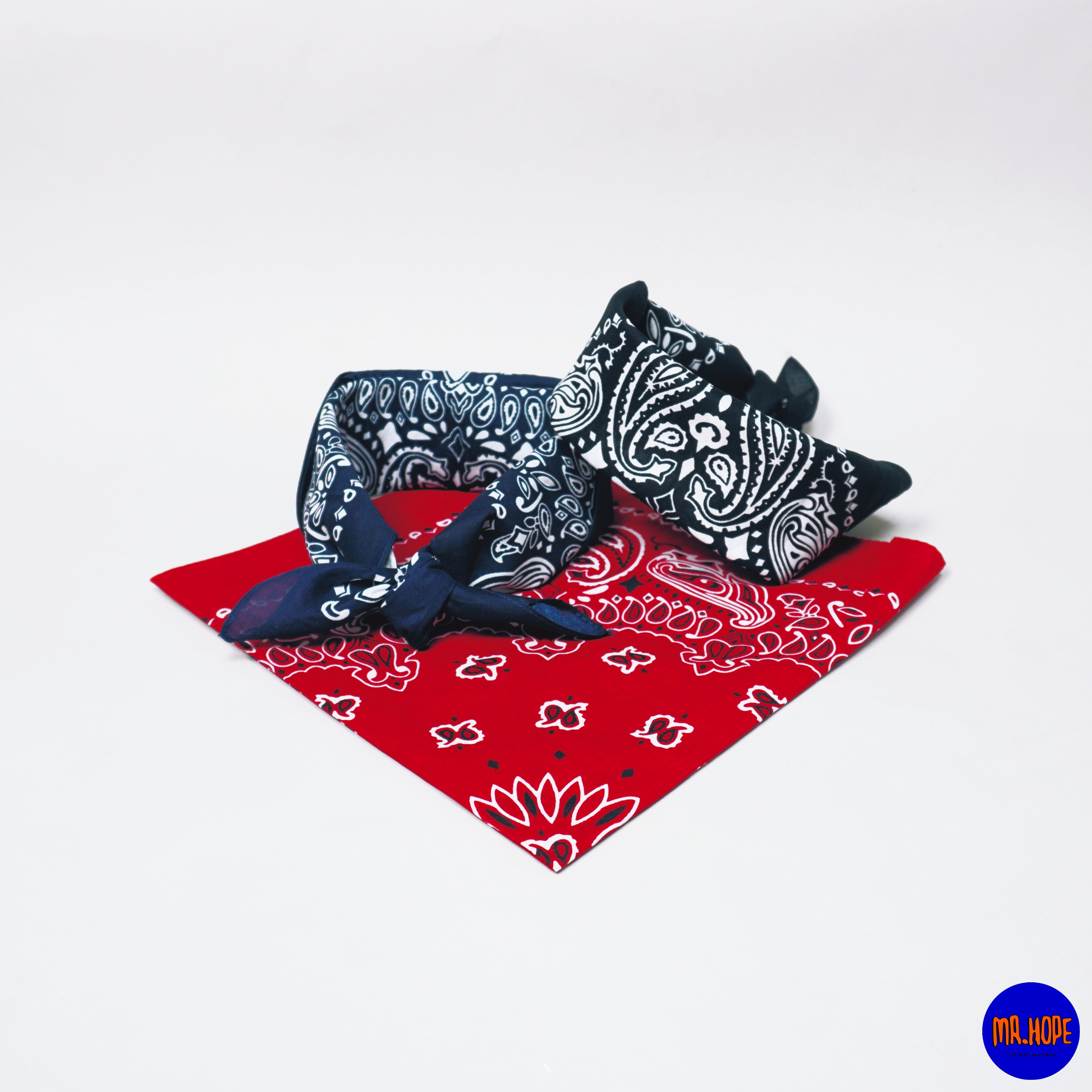 Paisley Bandana