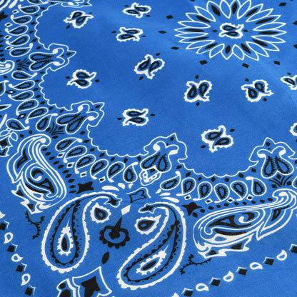 Paisley Bandana﻿