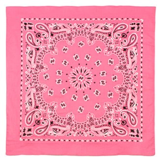 Paisley Bandana﻿