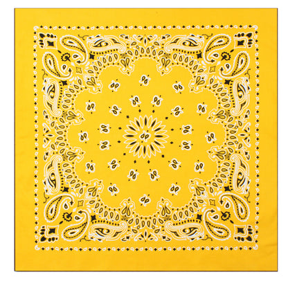 Paisley Bandana﻿