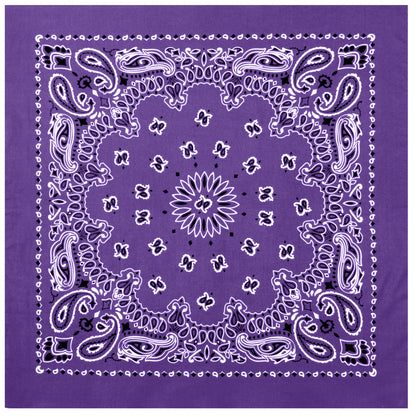 Paisley Bandana﻿