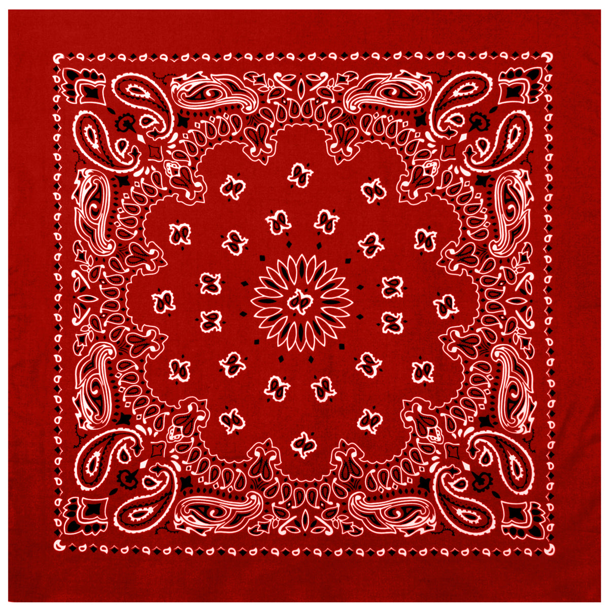 Paisley Bandana﻿