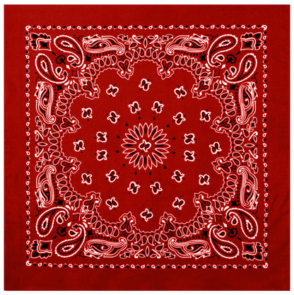 Paisley Bandana﻿