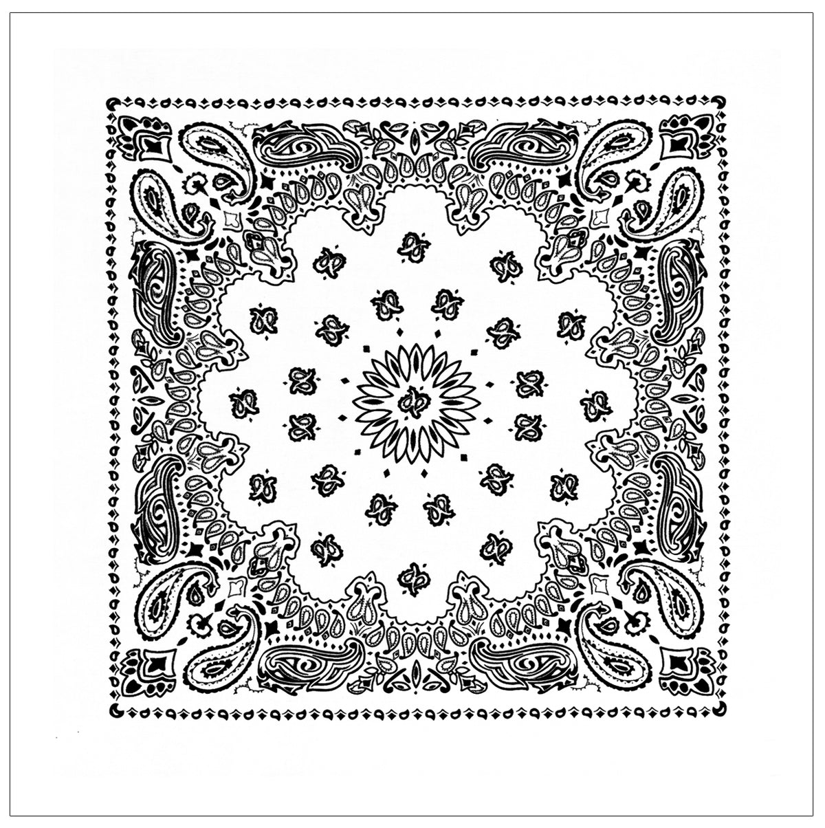 Paisley Bandana﻿