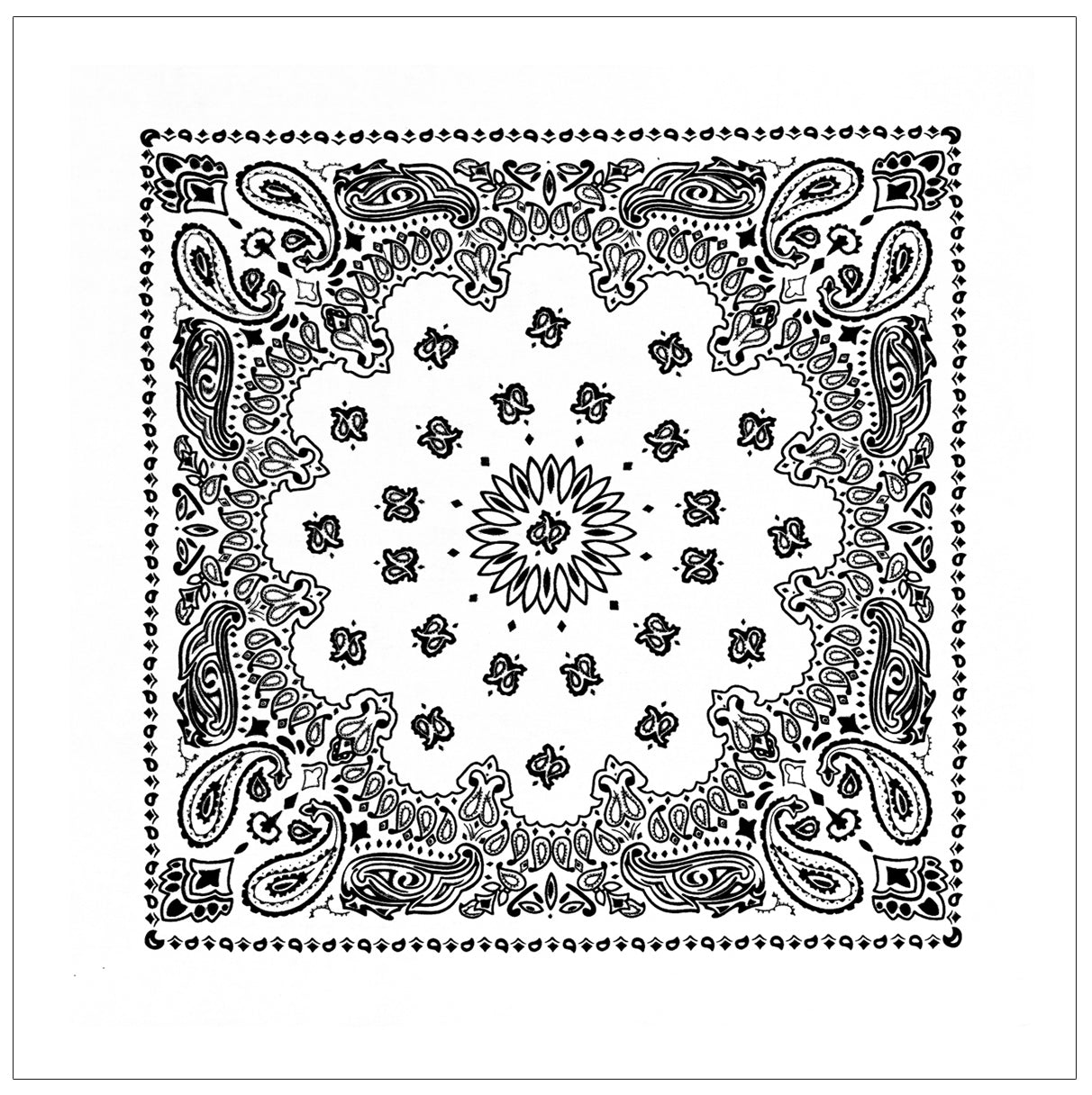 Paisley Bandana﻿