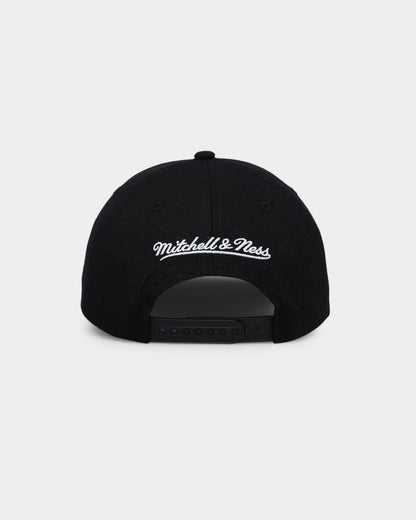 Charlotte Hornets &