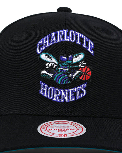 Charlotte Hornets &