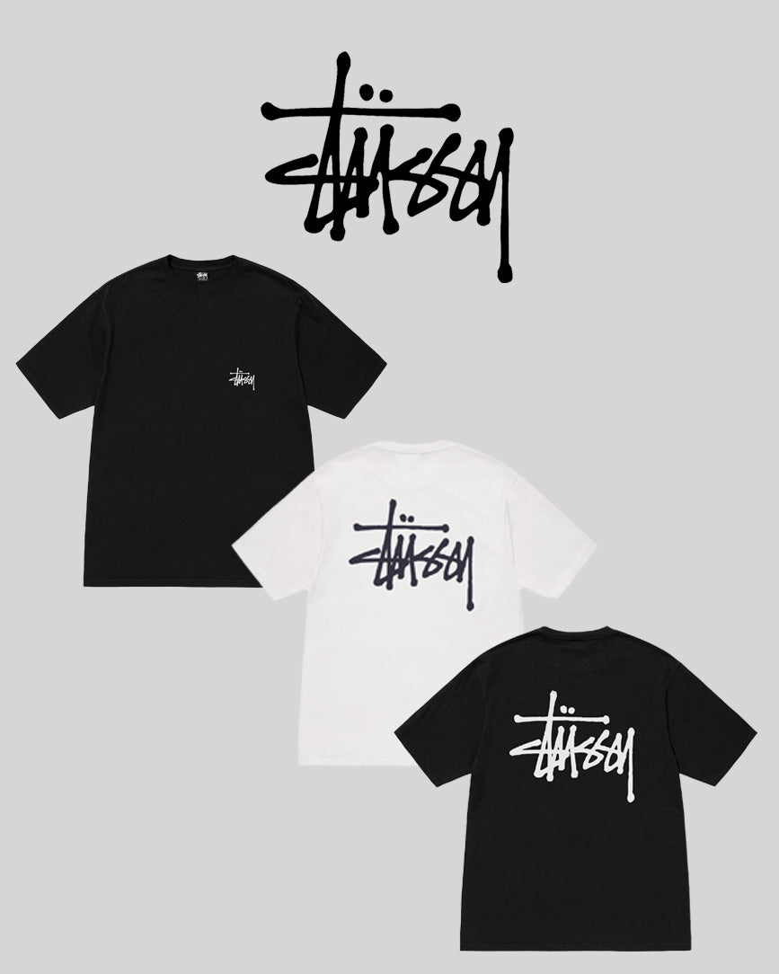 BASIC STUSSY PIG.DYED TEE