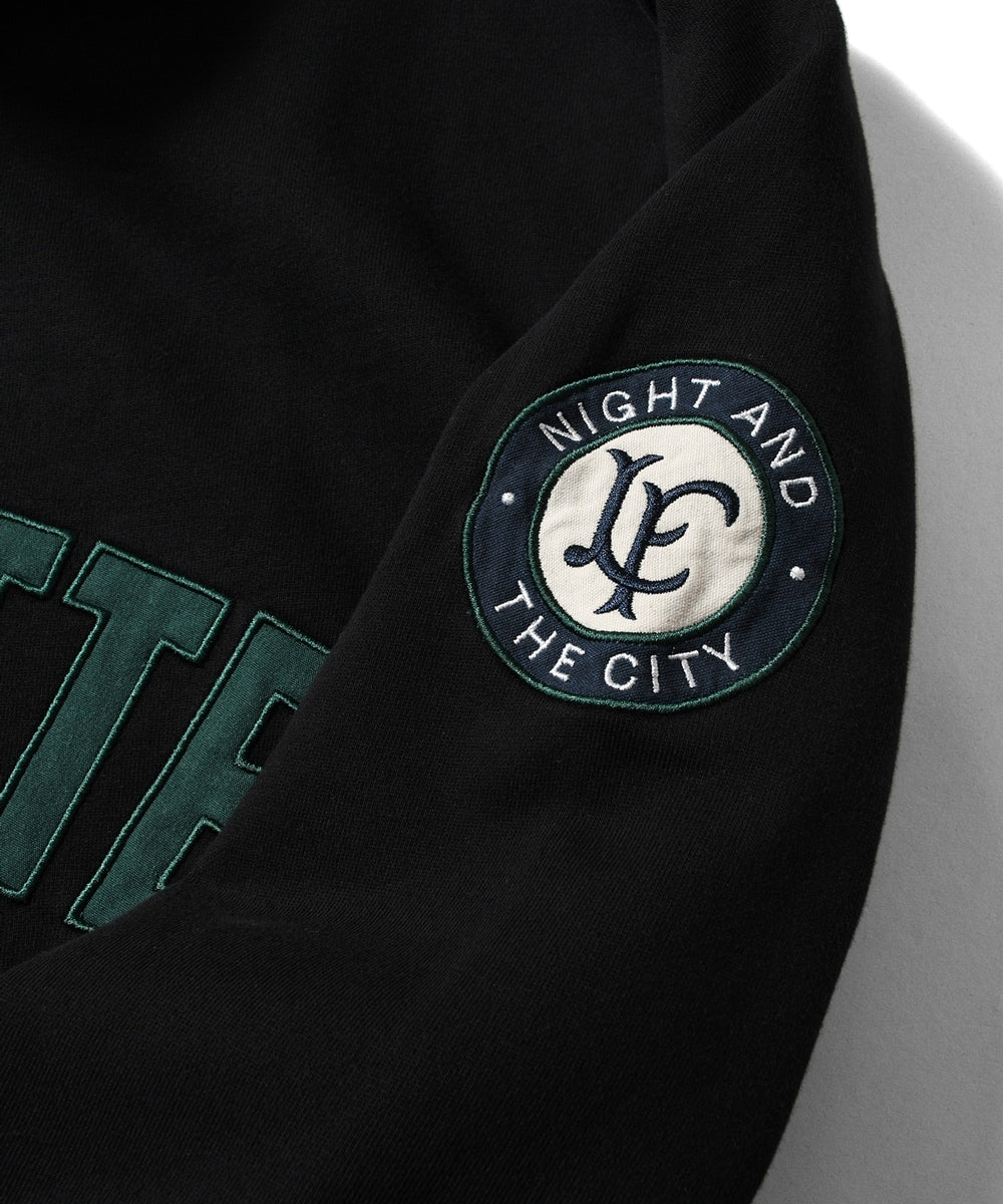Arch Logo Halfzip Sweatshirt