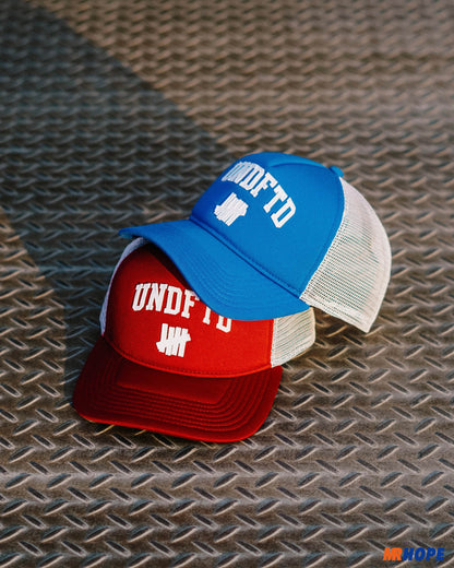 Arch Trucker Hat