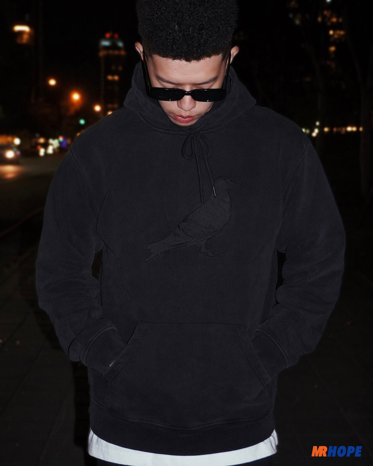 Pigeon Broadway Washed  Hoodie