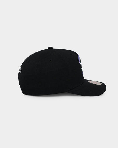 Charlotte Hornets &
