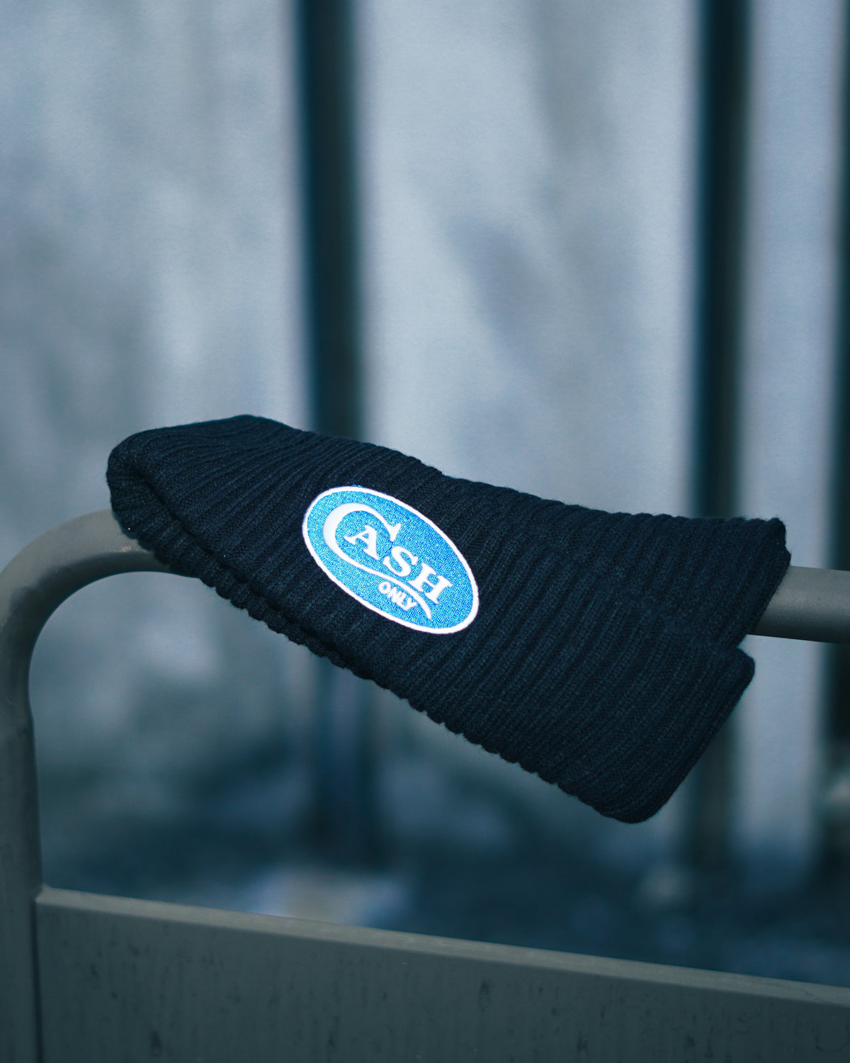 Emblem Beanie